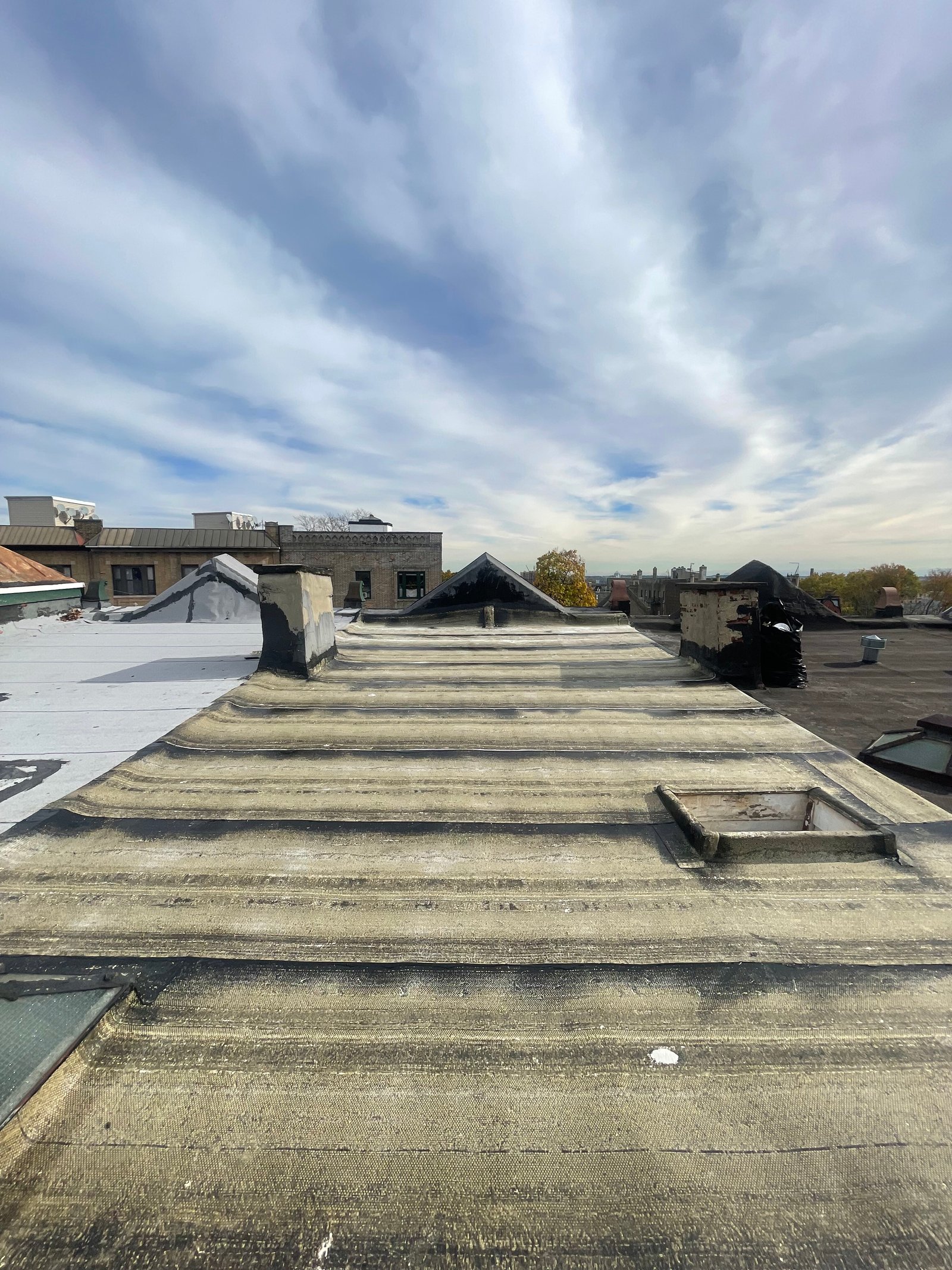 Flat Roof Repair